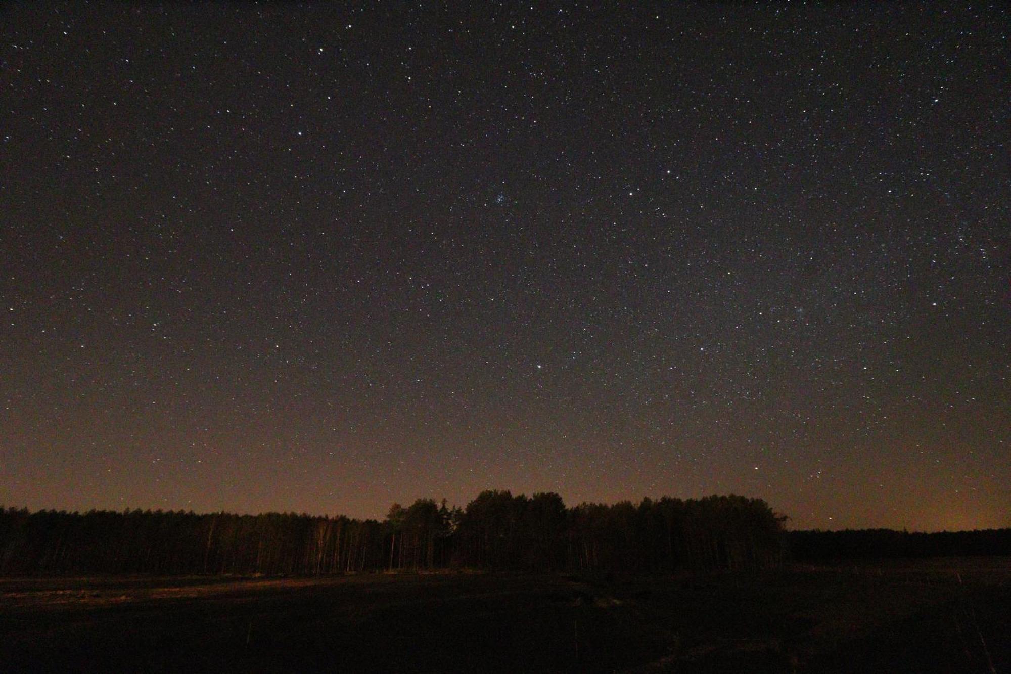 Mimi's Farmstay Niekursko Dış mekan fotoğraf